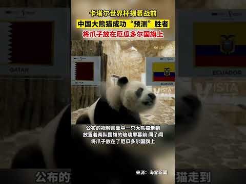 约基奇本赛,季场均贡献,命中率超五,188足球比分网,足球赛事比分,足球比赛数据,足球赛事资讯,足球赛事平台